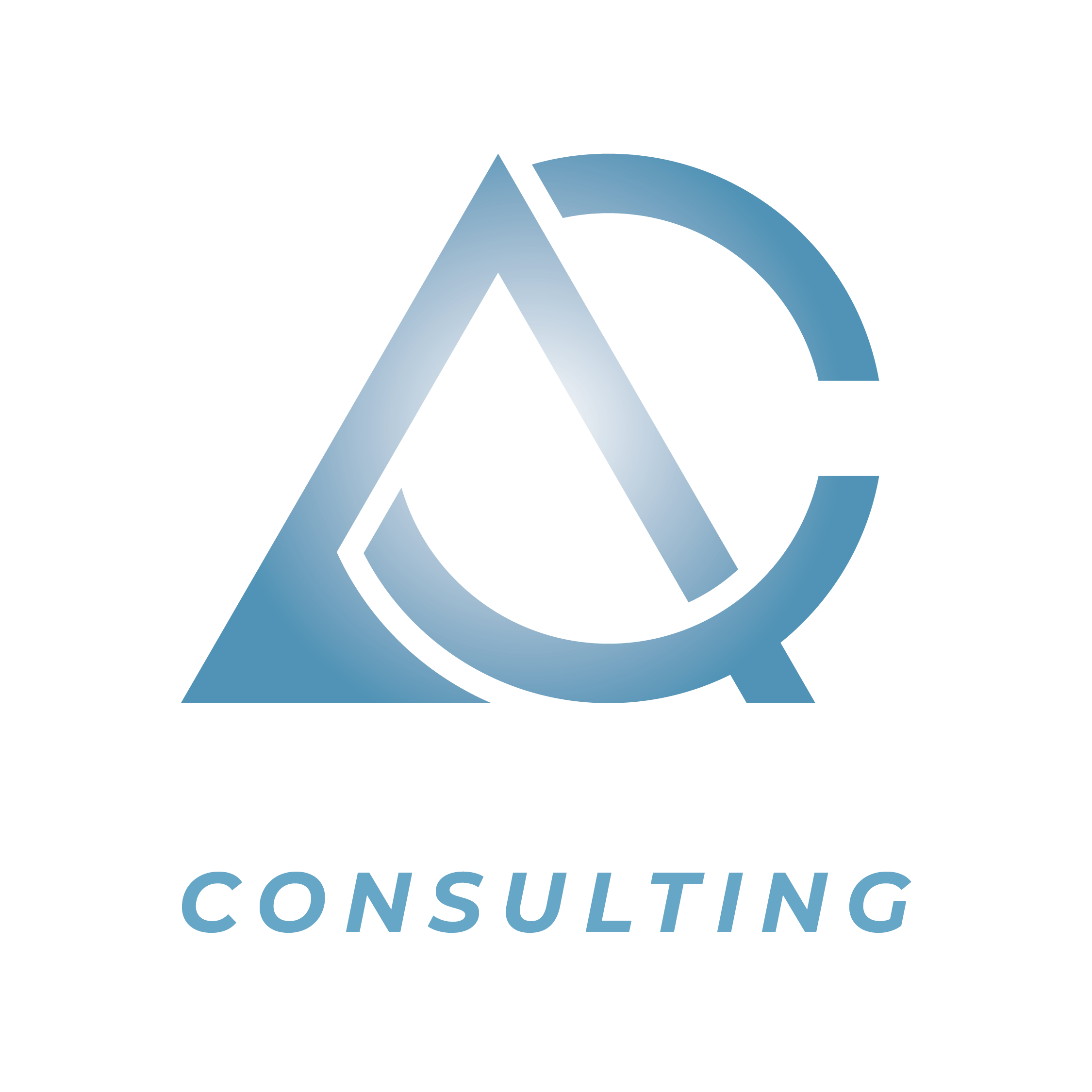 Amercs Consulting